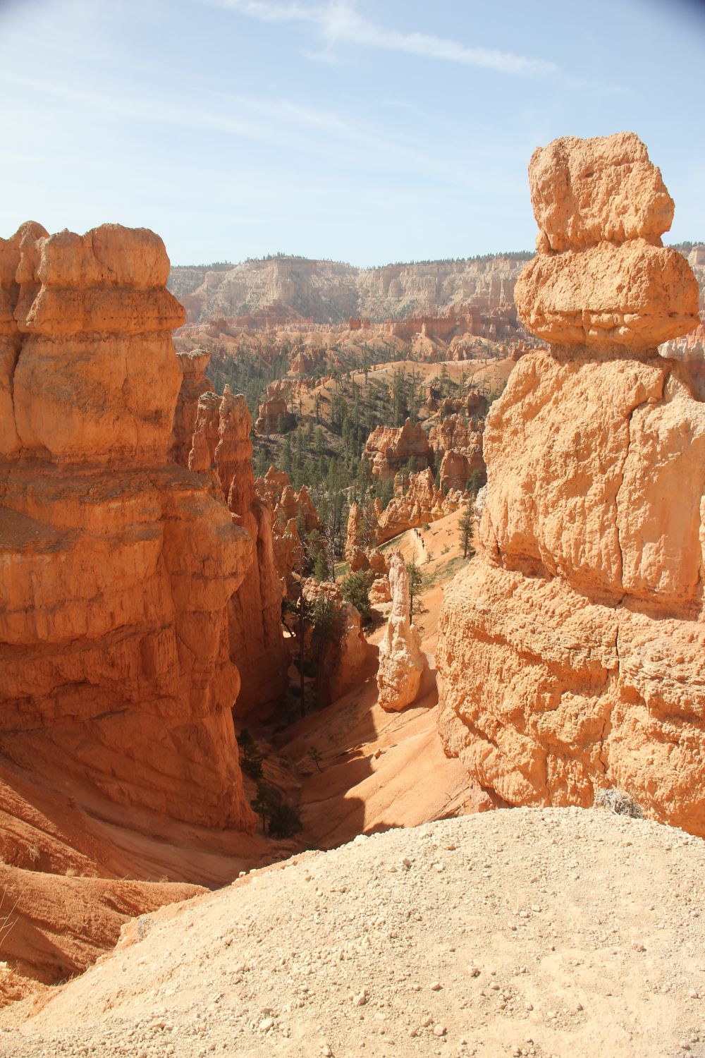 Queens/Navajo 